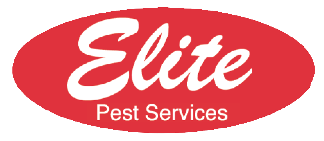 Business directory image