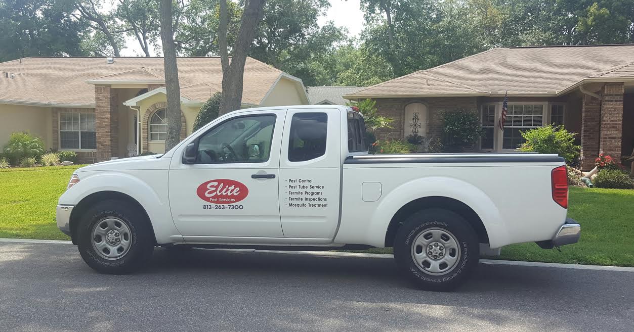 Elite Pest Services business image in Land O' Lakes, Florida